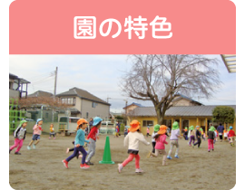 園の特色